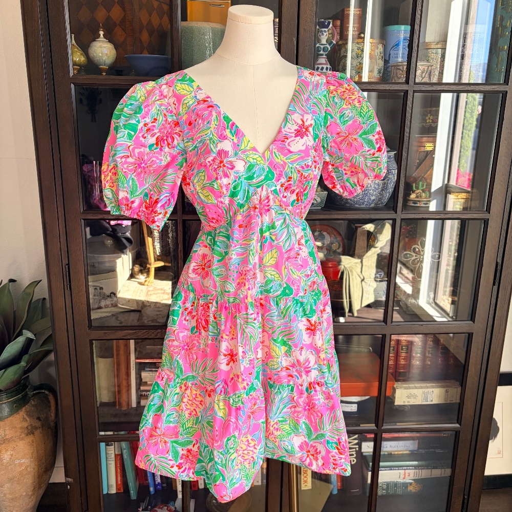 Lilly Pulitzer, Puff Sleeve, Tie Back, Tropical Dress, size 4